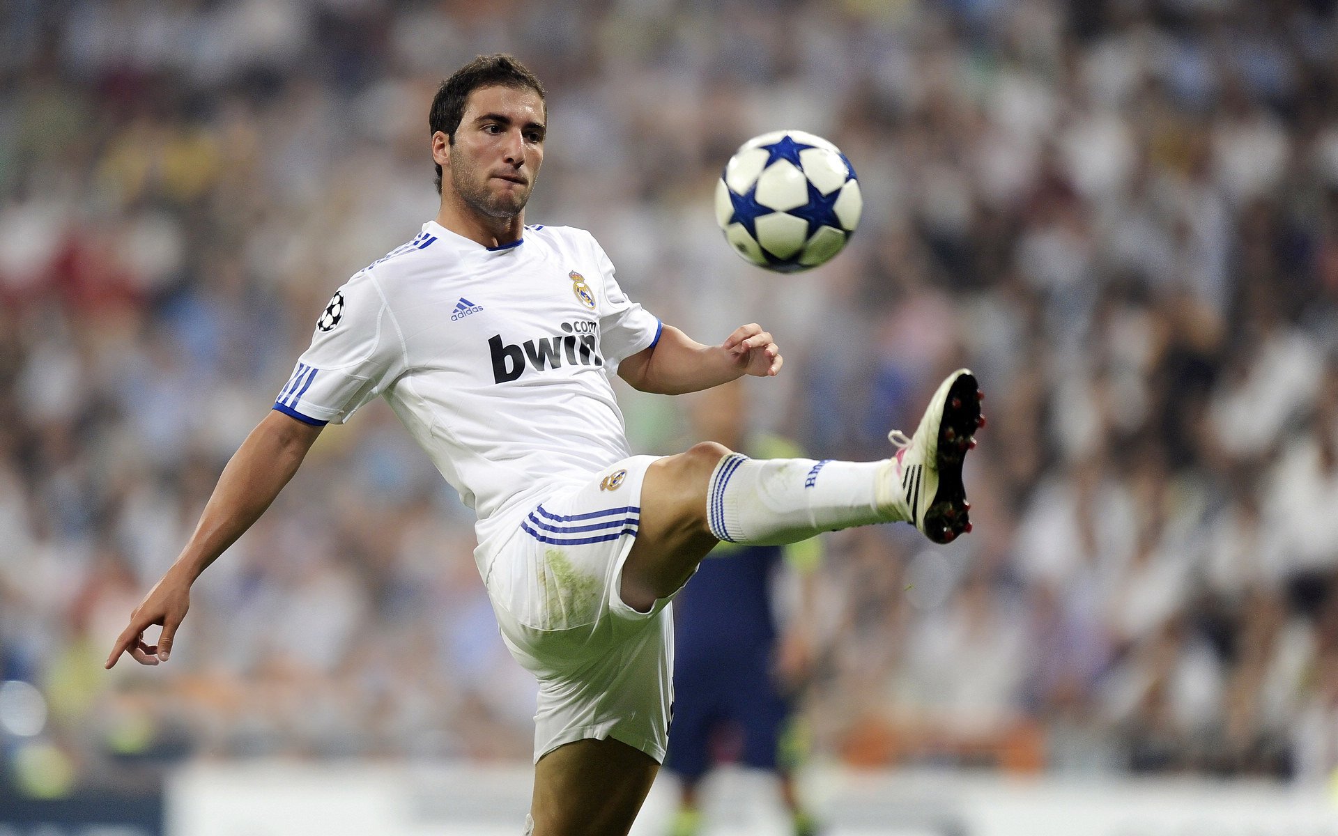 赛道与球场，戈贝尔的F1统治与辽宁队的铁血胜利