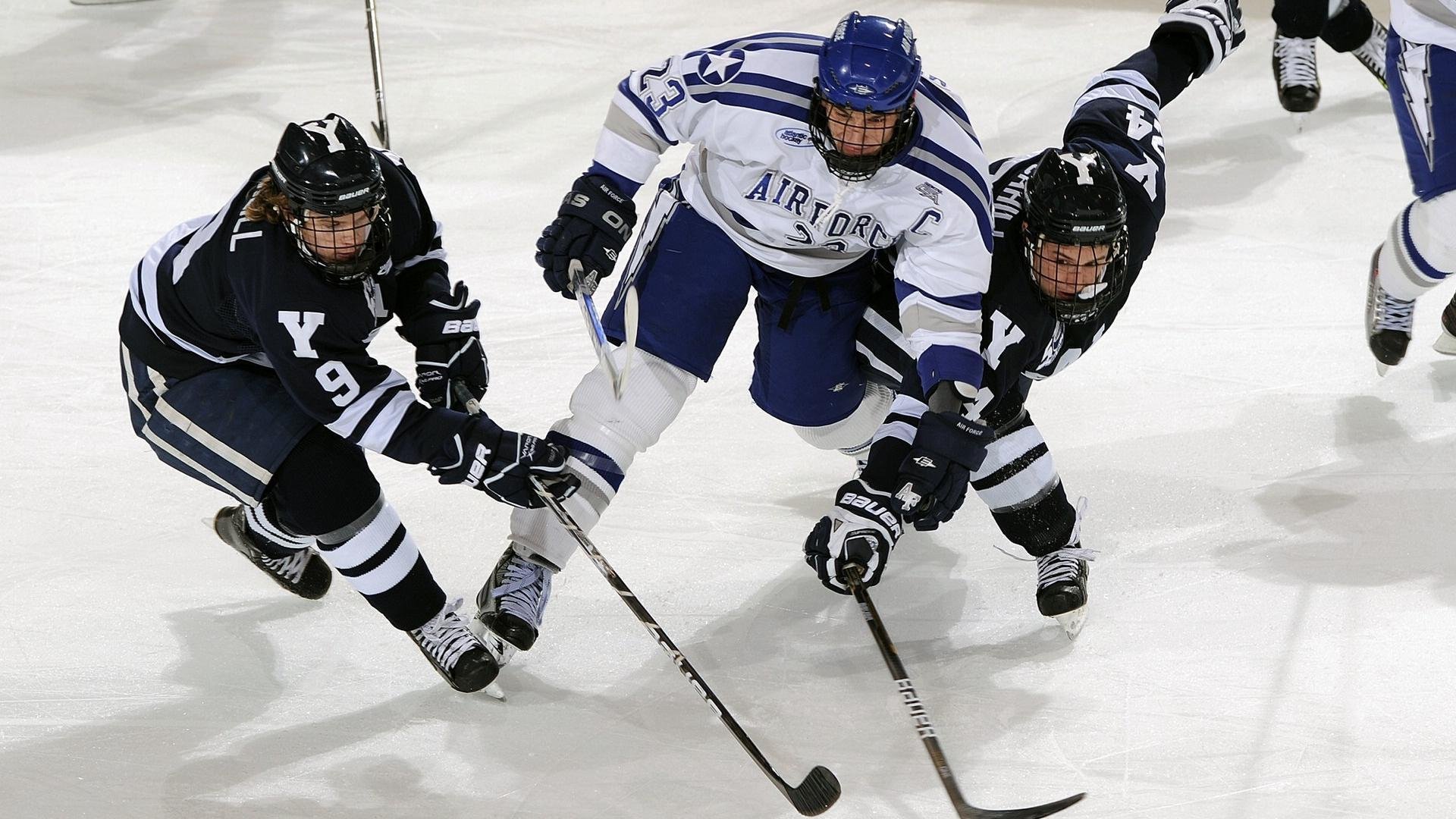 赛道与草原，当F1法国站成为南非冠军的加冕之战