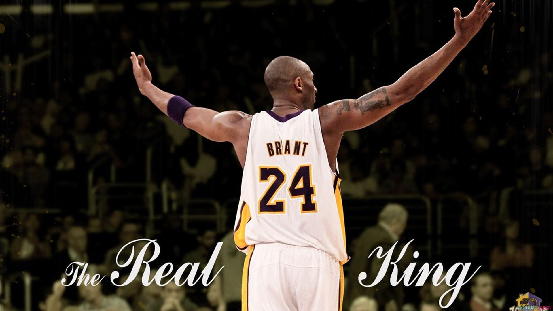 北境之刃,当吉林队的钢铁洪流遇上布克的烈焰孤城